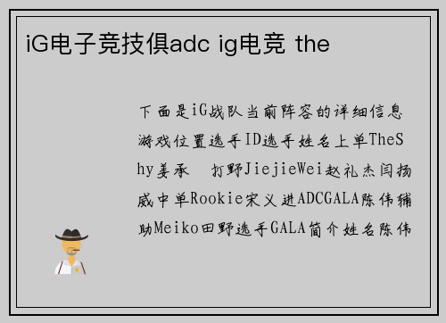 iG电子竞技俱adc ig电竞 the